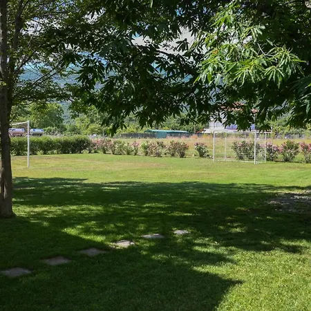 Priona