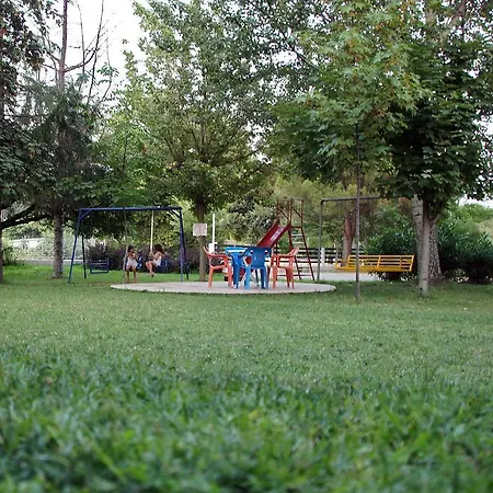 Priona
