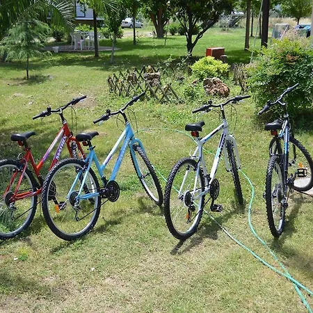 Priona Paralía Skotínis