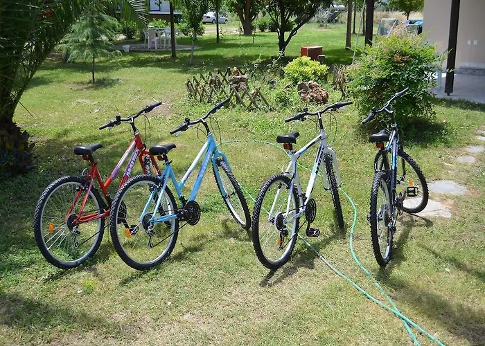 Priona Paralía Skotínis